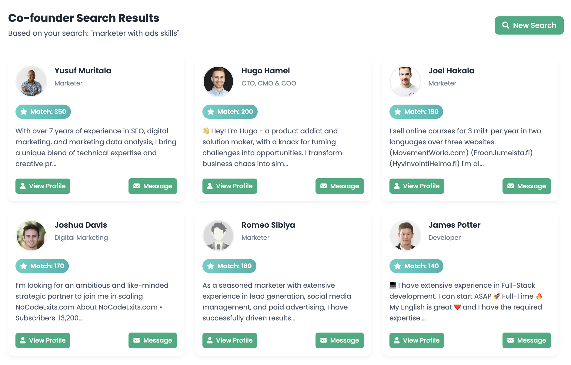 AI Matching Interface